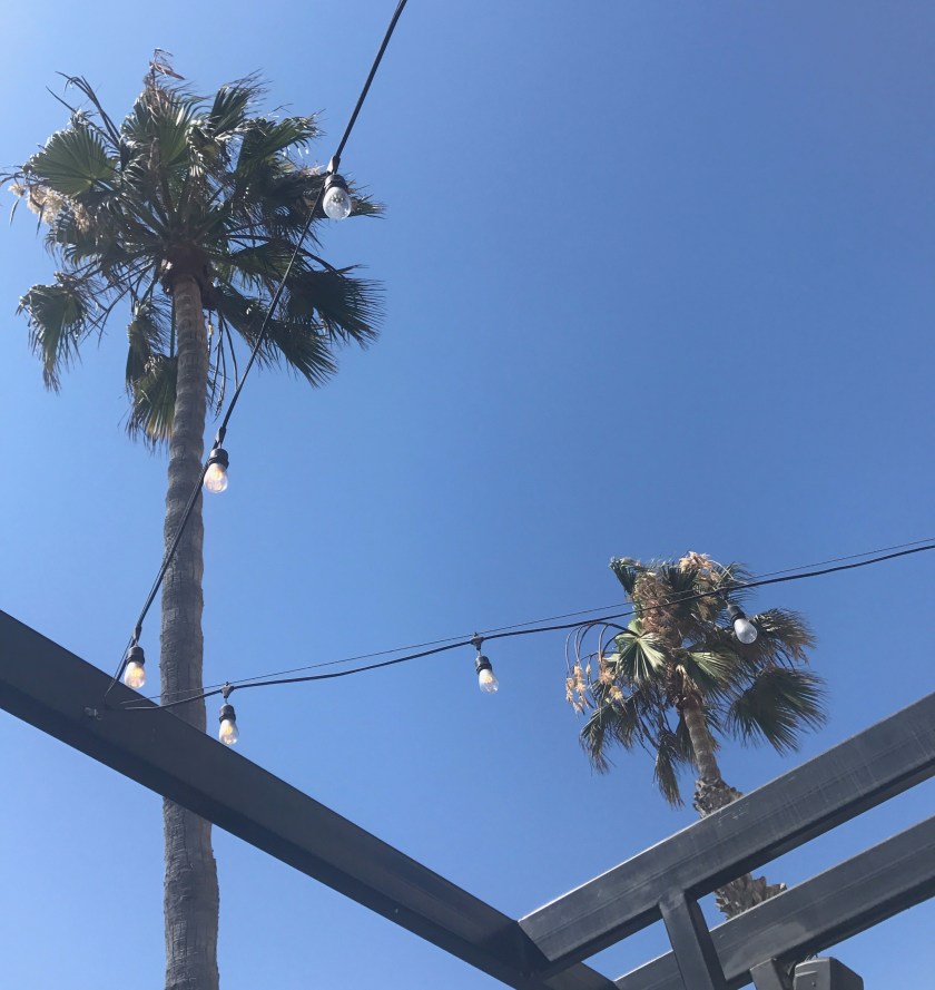 0C5084DE-68B2-4185-86DF-6D0110797B05